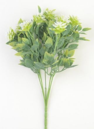 Ветка зелени - СЕСЕН цветы-колючки